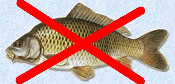 Zákaz lovu ryb - červen 2019 - Dřevnice