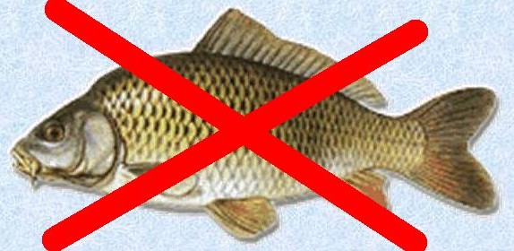 Zákaz lovu ryb - Všemina 